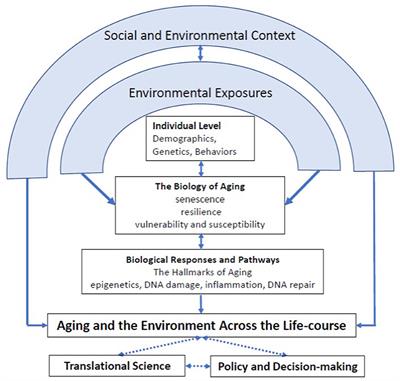Editorial: Healthspan and neural aging: Merging the exposome and one environmental health - From molecular mechanisms to epidemiology